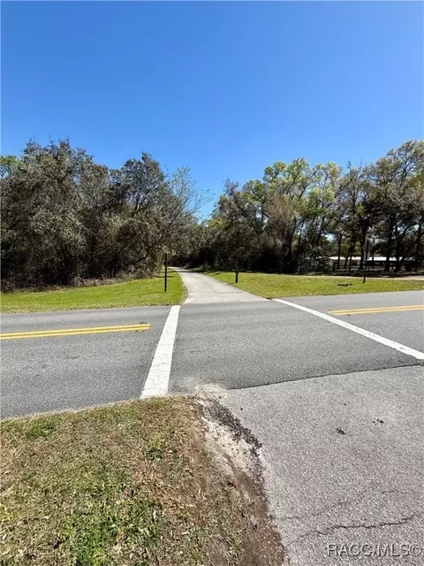 2172 E Dearborn Dr, Hernando, FL 34442 photo 8