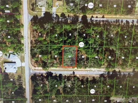 6575 W Whispering Dr, Dunnellon, FL 34434