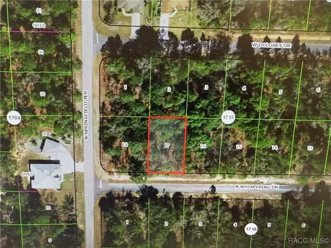 6581 W Whispering Dr, Dunnellon, FL 34434