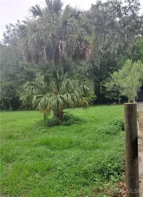 0 SE 130th St, Belleview, FL 34420 photo 3