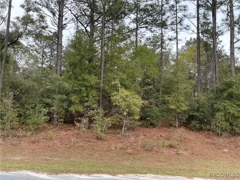 11299 N Bunny Ter, Citrus Springs, FL 34434