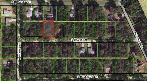 3157 E Davis Ln, Inverness, FL 34453 photo 3