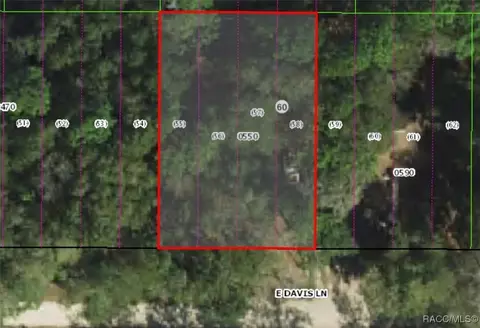3157 E Davis Ln, Inverness, FL 34453 photo 2