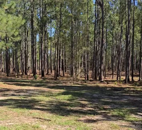 10500 S Lecanto Hwy, Lecanto, FL 34461