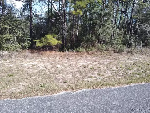 1519 W Omaha Pl, Citrus Springs, FL 34434
