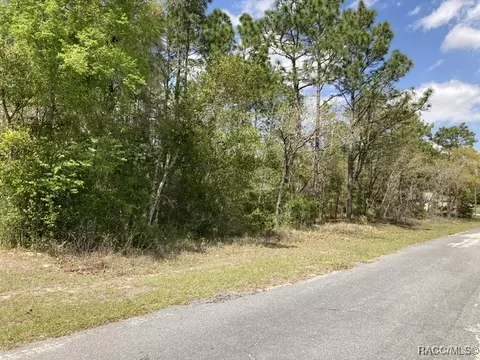 9573 N Travis Dr, Citrus Springs, FL 34434