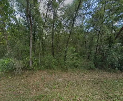 3636 E Maxwell Pl, Inverness, FL 34453