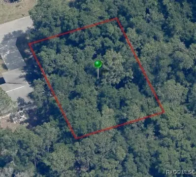 3636 E Maxwell Pl, Inverness, FL 34453 photo 2