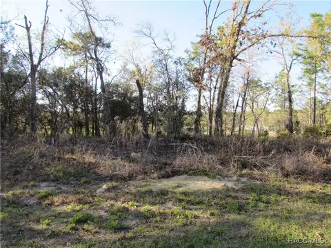 1255 W Nankeen Dr, Dunnellon, FL 34434