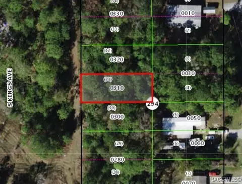 3193 S Kings Ave, Homosassa, FL 34448