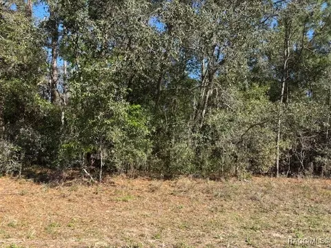 17 Mimosa Ct W, Homosassa, FL 34446