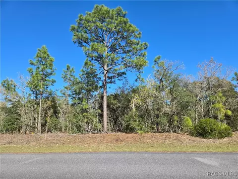 6499 N Pembroke Ter, Citrus Springs, FL 34434