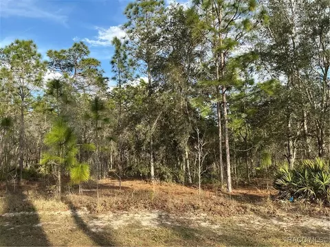 20 Nemesia Ct E, Homosassa, FL 34446