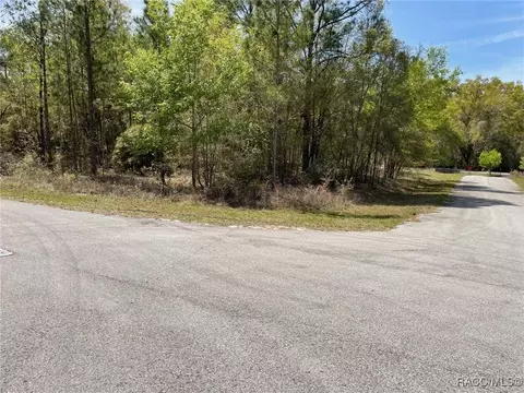 lot S 1011 Sw 202 Ct, Dunnellon, FL 34431