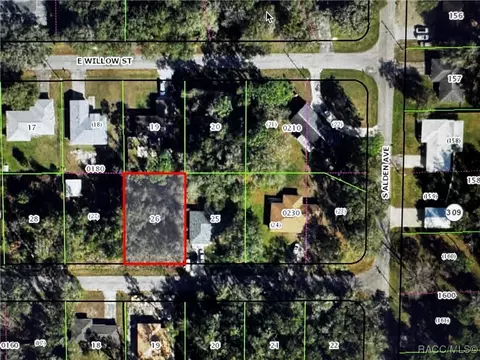 6575 E Wingate St, Inverness, FL 34452