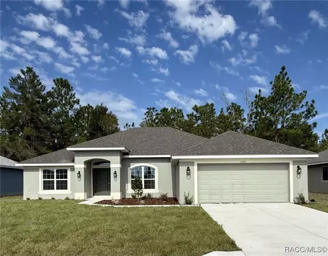 729 W Hallam Dr, Citrus Springs, FL 34434