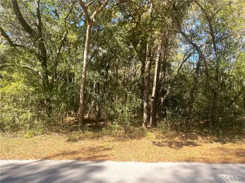0000 SW 199 Ct, Dunnellon, FL 34431