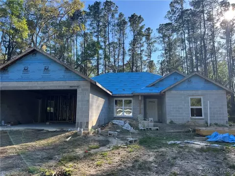 9962 N Athenia Dr, Citrus Springs, FL 34434