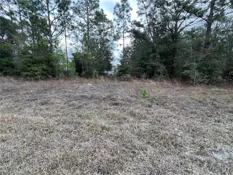 8699 N Discalfani Loop, Crystal River, FL 34428