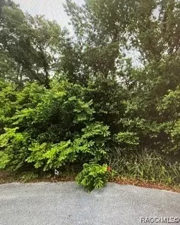 0 Prespare Ct, Spring Hill, FL 34606