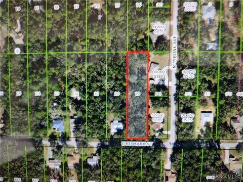 1271 E Bismark St, Hernando, FL 34442