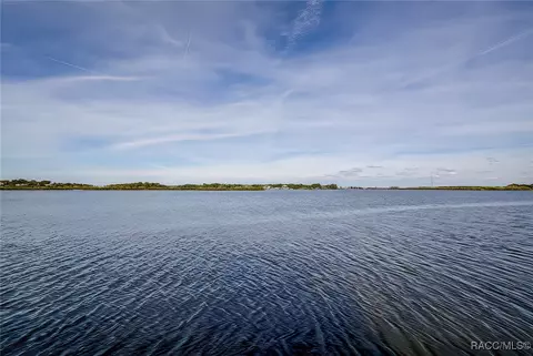 View/Area - 13835 Ricks Is, Crystal River, FL 34429 photo 6 of 31