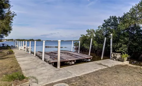 View/Area - 13835 Ricks Is, Crystal River, FL 34429 photo 3 of 31