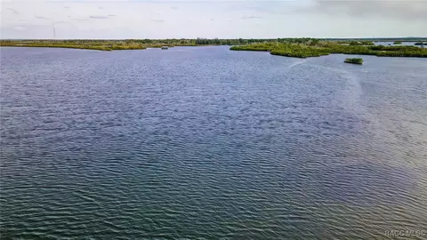 View/Area - 13835 Ricks Is, Crystal River, FL 34429 photo 15 of 31