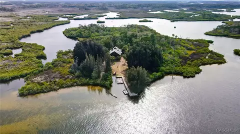 View/Area - 13835 Ricks Is, Crystal River, FL 34429 photo 2 of 31