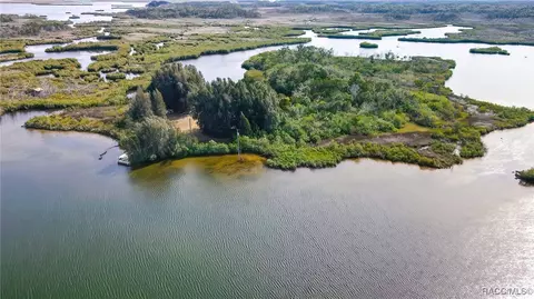 View/Area - 13835 Ricks Is, Crystal River, FL 34429 photo 19 of 31
