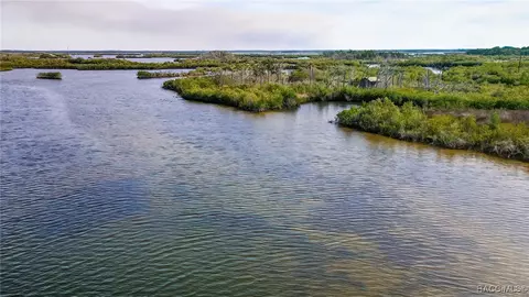 View/Area - 13835 Ricks Is, Crystal River, FL 34429 photo 14 of 31