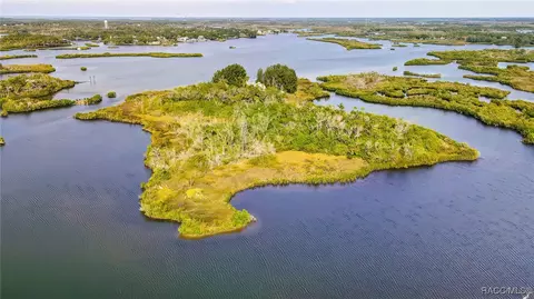 View/Area - 13835 Ricks Is, Crystal River, FL 34429 photo 21 of 31