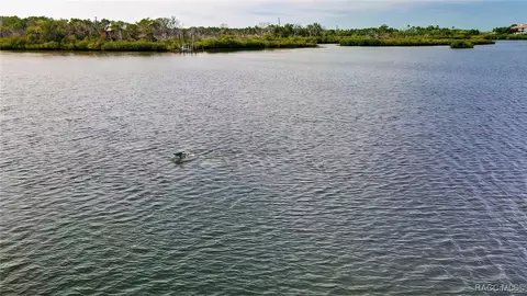 View/Area - 13835 Ricks Is, Crystal River, FL 34429 photo 26 of 31