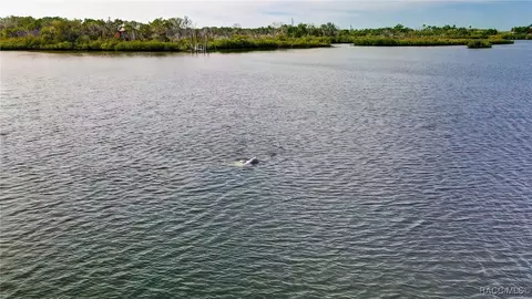View/Area - 13835 Ricks Is, Crystal River, FL 34429 photo 27 of 31