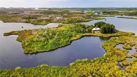 View/Area - 13835 Ricks Is, Crystal River, FL 34429 photo 29 of 31