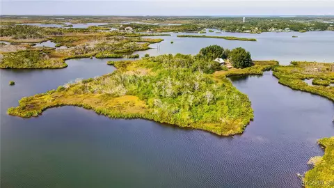 View/Area - 13835 Ricks Is, Crystal River, FL 34429 photo 22 of 31