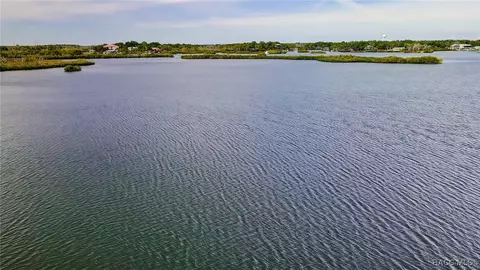 View/Area - 13835 Ricks Is, Crystal River, FL 34429 photo 17 of 31