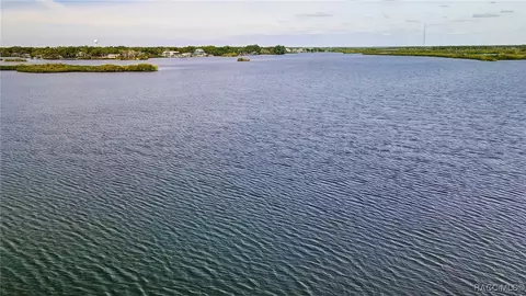 View/Area - 13835 Ricks Is, Crystal River, FL 34429 photo 16 of 31