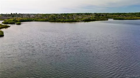 View/Area - 13835 Ricks Is, Crystal River, FL 34429 photo 18 of 31