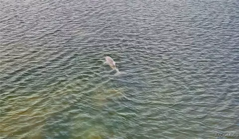 View/Area - 13835 Ricks Is, Crystal River, FL 34429 photo 30 of 31