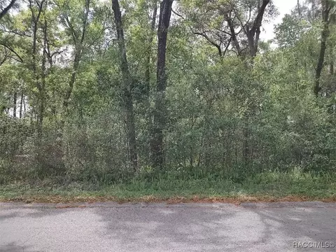 3800 S Diamond Ave, Inverness, FL 34452