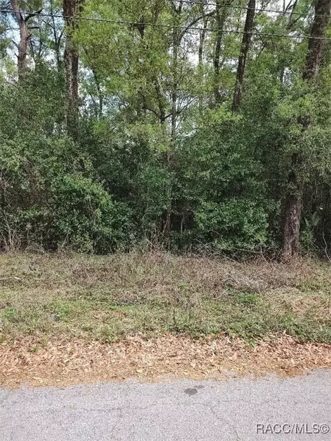 3665 S Diamond Ave, Inverness, FL 34452