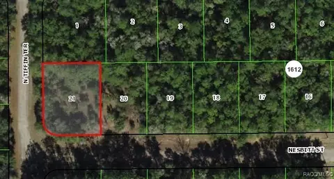 1031 E Nesbitt Ln, Citrus Springs, FL 34434