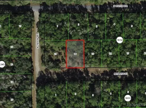 1049 E Nesbitt Ln, Citrus Springs, FL 34434