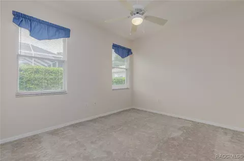 361 W Greenberg Ct, Hernando, FL 34442 photo 24