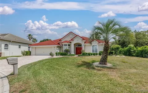 361 W Greenberg Ct, Hernando, FL 34442 photo 39