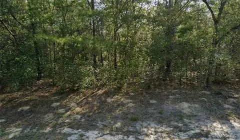 8904 N Alameda Dr, Citrus Springs, FL 34434