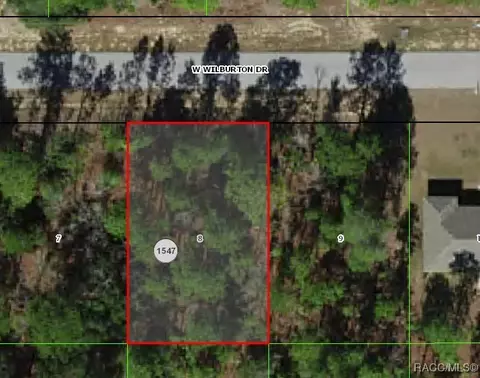 3768 W Wilburton Dr, Citrus Springs, FL 34433