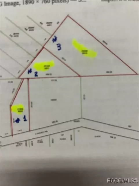 4393 E Posselt Dr, Hernando, FL 34442