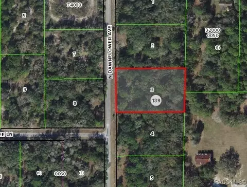 10095 N Dawnflower Ave, Crystal River, FL 34428